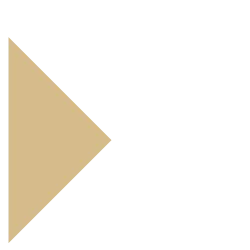 White Label Wedding DJs logo